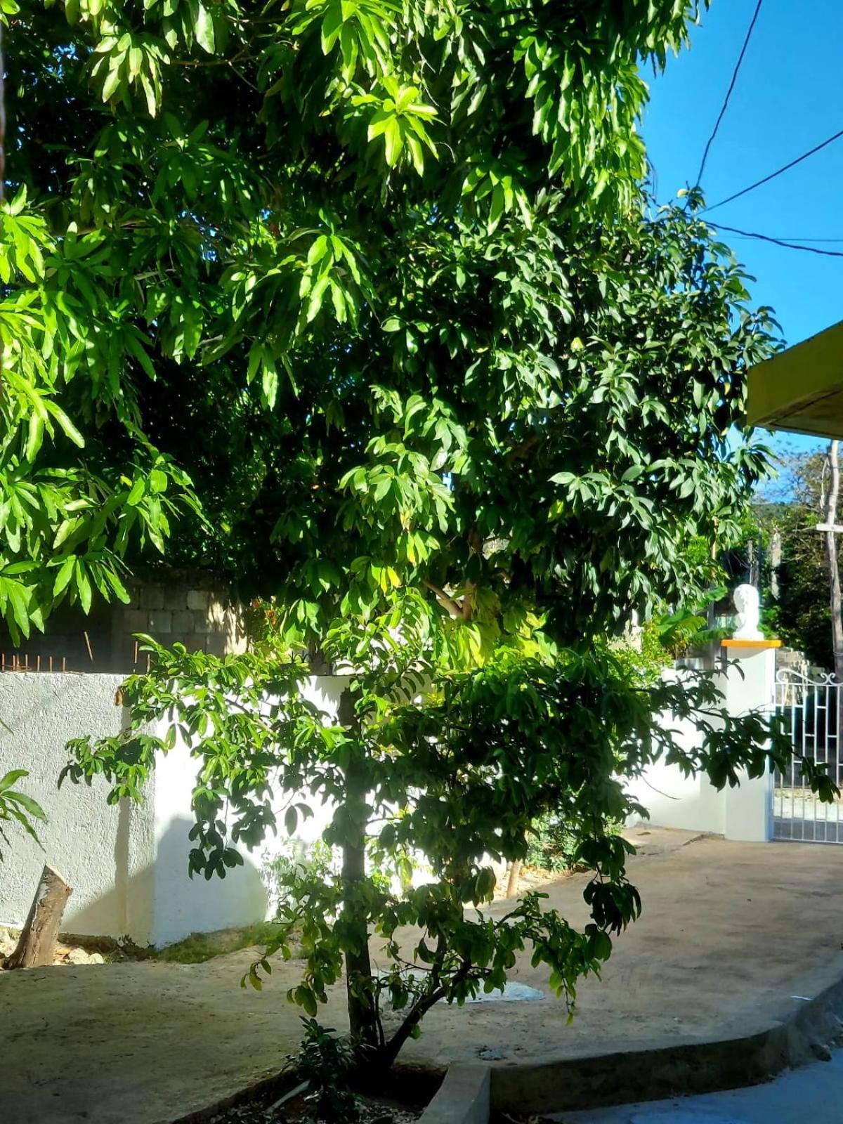Corral Spring Cas Bed And Breakfast מראה חיצוני תמונה