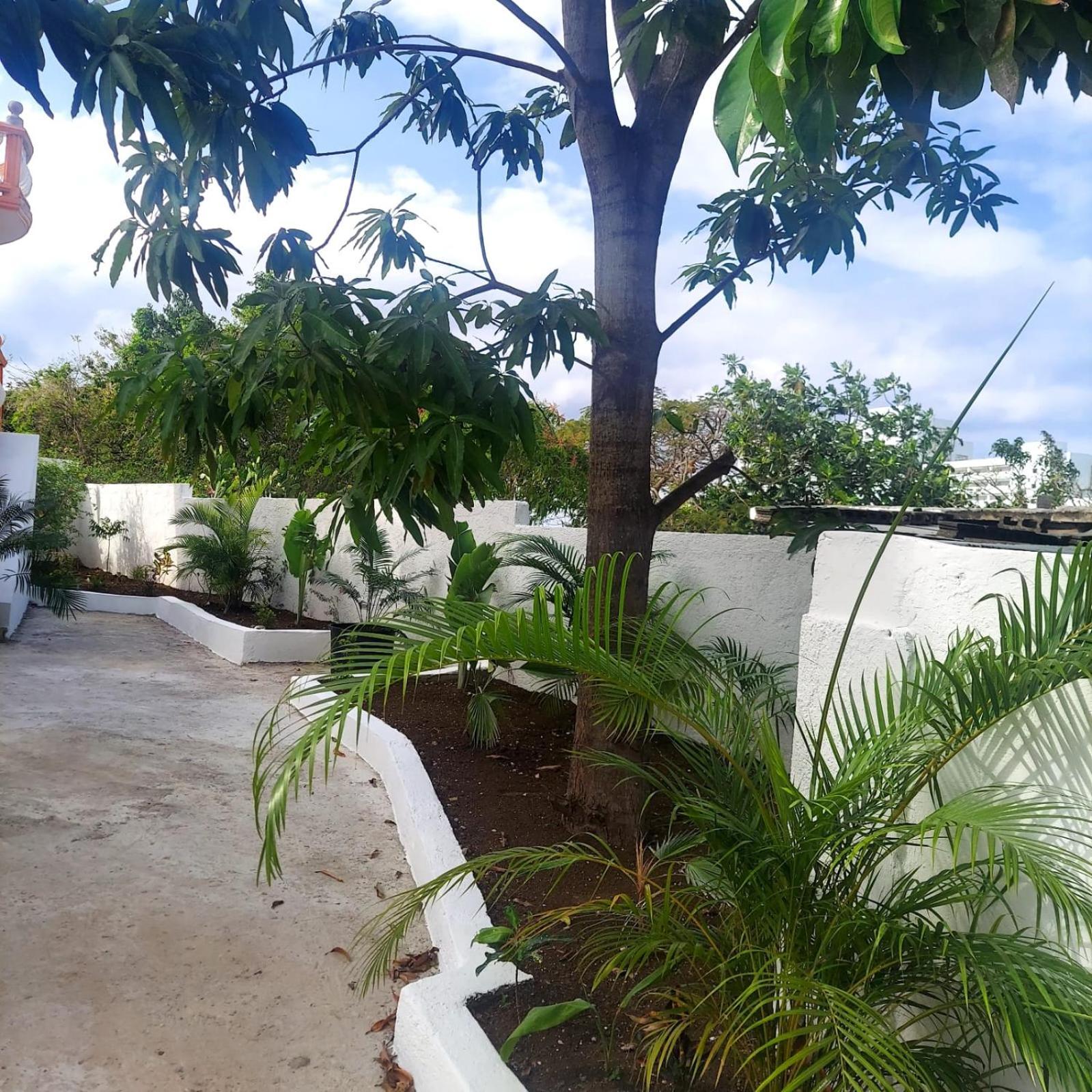 Corral Spring Cas Bed And Breakfast מראה חיצוני תמונה